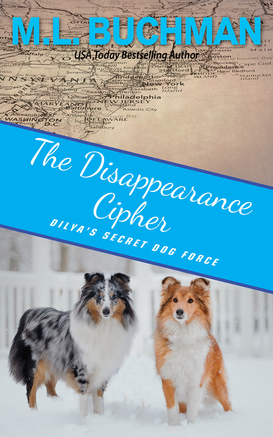 The Disappearance Cipher